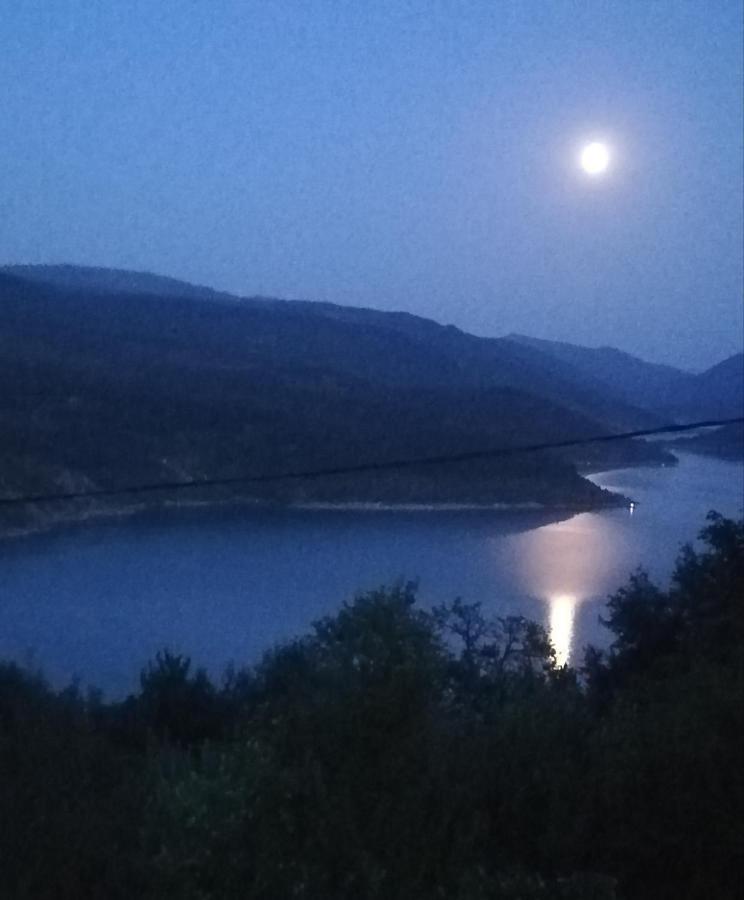 Vila Zapis - Zavojsko Jezero ピロト エクステリア 写真