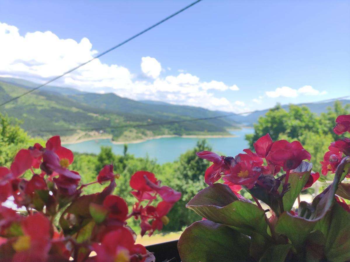 Vila Zapis - Zavojsko Jezero ピロト エクステリア 写真