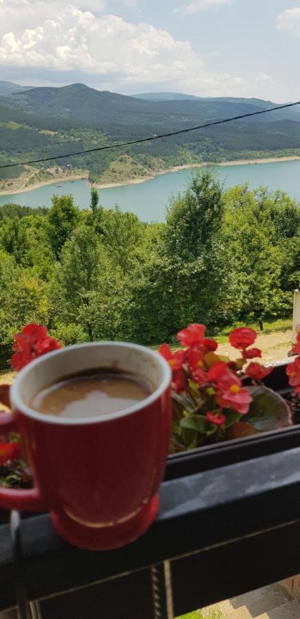 Vila Zapis - Zavojsko Jezero ピロト エクステリア 写真