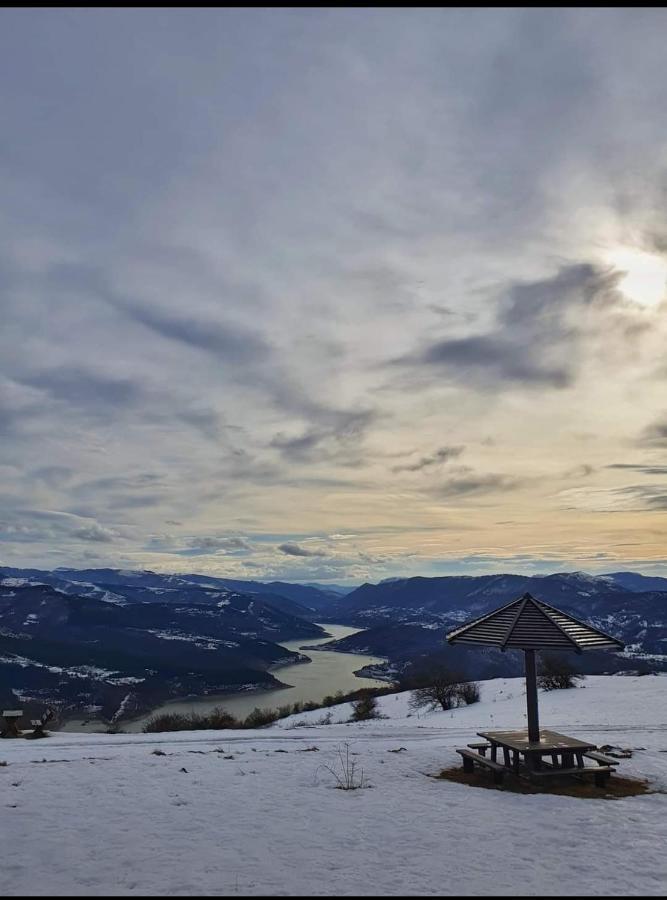 Vila Zapis - Zavojsko Jezero ピロト エクステリア 写真