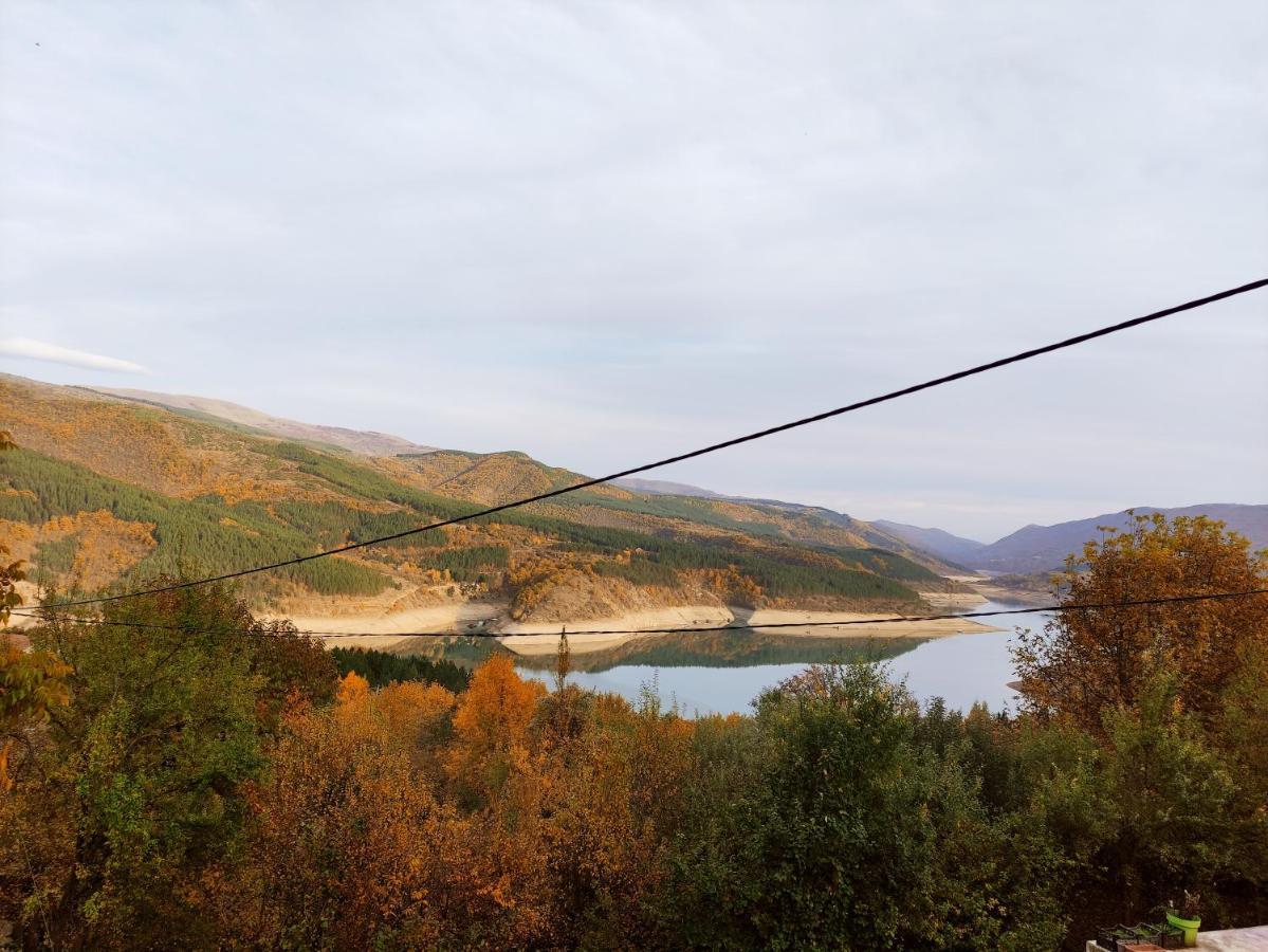 Vila Zapis - Zavojsko Jezero ピロト エクステリア 写真