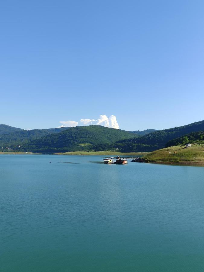 Vila Zapis - Zavojsko Jezero ピロト エクステリア 写真