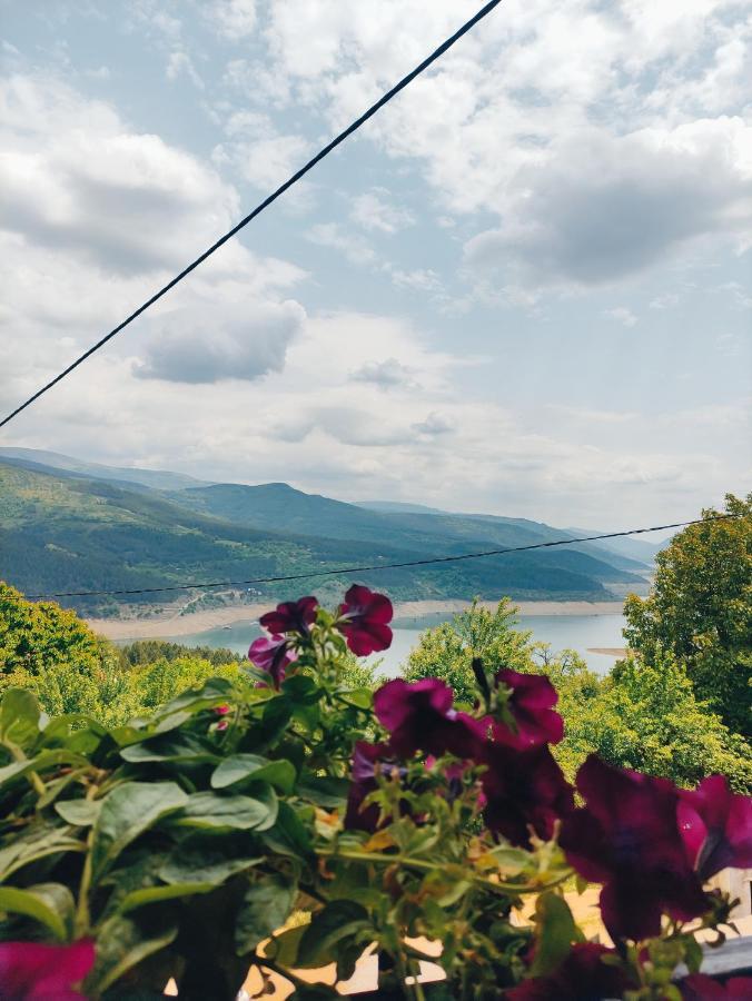 Vila Zapis - Zavojsko Jezero ピロト エクステリア 写真