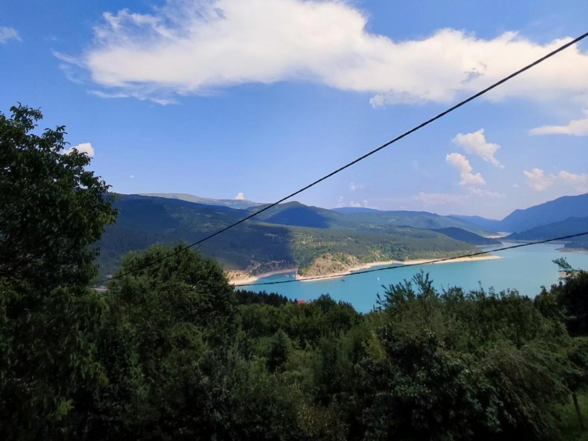 Vila Zapis - Zavojsko Jezero ピロト エクステリア 写真